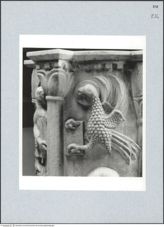 Vorderseite von bh493640_recto