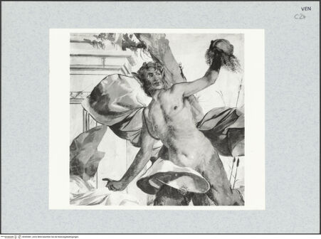 Vorderseite von bh493681_recto