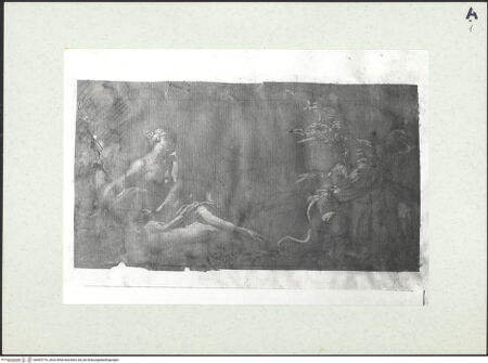 Vorderseite von bh493776_recto