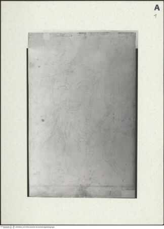 Vorderseite von Galleria Regionale della Sicilia - Palazzo Abatellis - Palermo - Archivio Fotografico [https://www.deutsche-digitale-bibliothek.de/content/lizenzen/rv-ez/] Kopf eines Satyrs - , bh493804_recto. Foto.