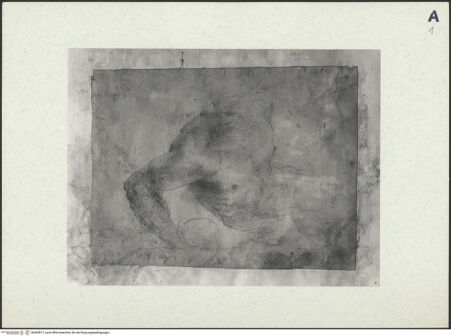 Vorderseite von bh493817_recto