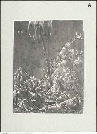 Vorderseite von bh493819_recto