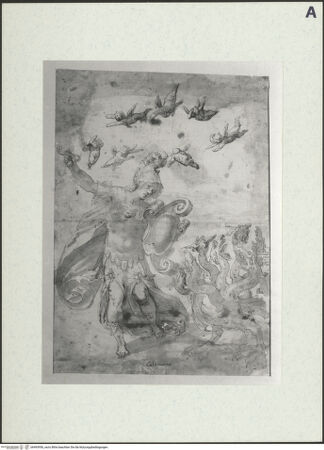 Vorderseite von bh493956_recto