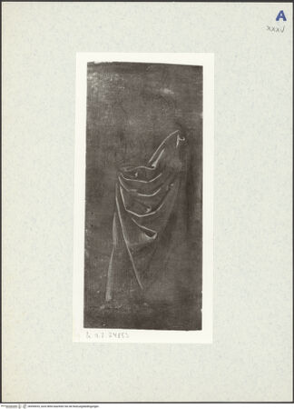 Vorderseite von bh494035_recto