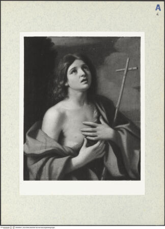 Vorderseite von bh494051_recto