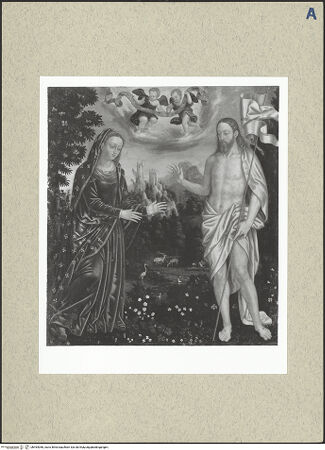 Vorderseite von bh494056_recto