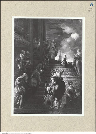 Vorderseite von bh494062_recto