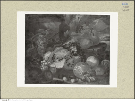 Vorderseite von bh494063_recto