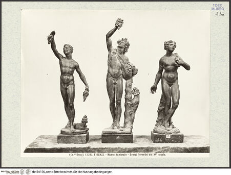 Vorderseite von bh494156_recto