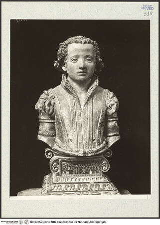 Vorderseite von bh494159_recto