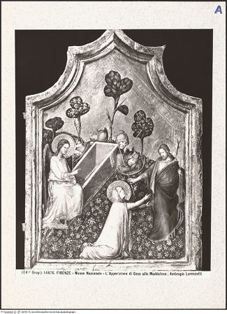 Vorderseite von bh494170_recto