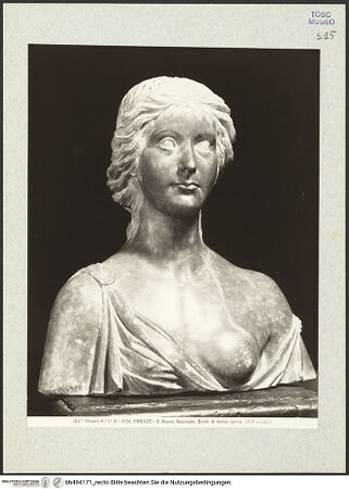 Vorderseite von bh494171_recto