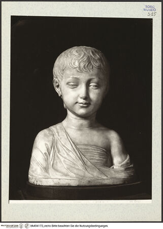 Vorderseite von bh494172_recto