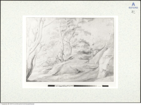 Vorderseite von bh494194_recto