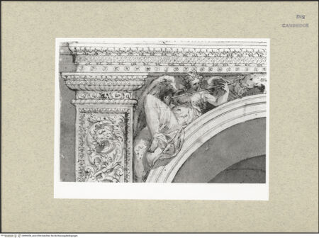 Vorderseite von bh494206_recto