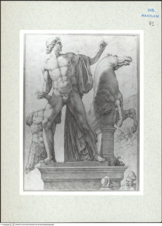 Vorderseite von Teylers Museum [http://creativecommons.org/publicdomain/mark/1.0/] Einer der Dioskuren auf dem Quirinal in Rom - , bh494218_recto. Foto.