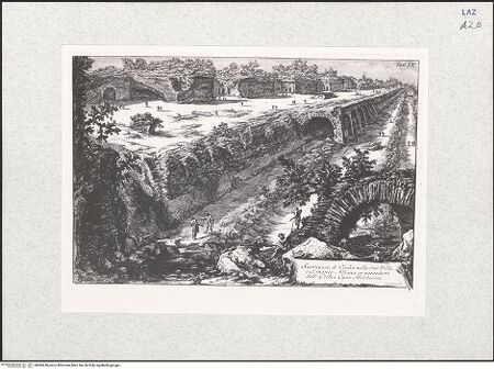 Vorderseite von bh494246_recto