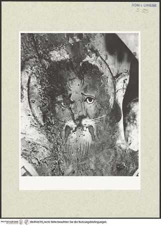 Vorderseite von bh494419_recto