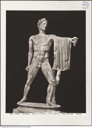 Vorderseite von Alinari [https://www.deutsche-digitale-bibliothek.de/content/lizenzen/rv-ez/] Der Tyrannentöter Aristogeiton, Kopie nach einem griechischen Original um 480/70 v.Chr. von Kritios und Nesiotes - Auf der Aufnahme ist die Statue mit einem Kopf zu sehen, der im späten 18.Jahrhundert durch Albacini ergänzt wurde., bh494437_recto. Foto.