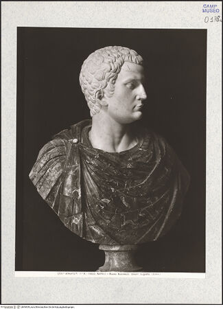 Vorderseite von Alinari [https://www.deutsche-digitale-bibliothek.de/content/lizenzen/rv-ez/] Büste des Augustus (?) - Gesamtansicht, bh494439_recto. Foto.