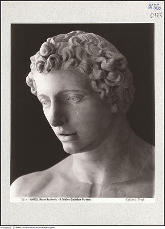 Vorderseite von Alinari [https://www.deutsche-digitale-bibliothek.de/content/lizenzen/rv-ez/] Gladiator Farnese, Kopie nach einem griechischen Original aus der Mitte des 4. Jahrhunderts v.Chr. - Detail: Kopf, bh494441_recto. Foto.