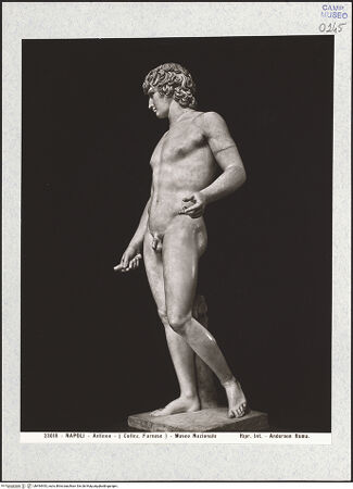Vorderseite von Alinari [https://www.deutsche-digitale-bibliothek.de/content/lizenzen/rv-ez/] Antinoos - Seitenansicht von rechts, bh494443_recto. Foto.