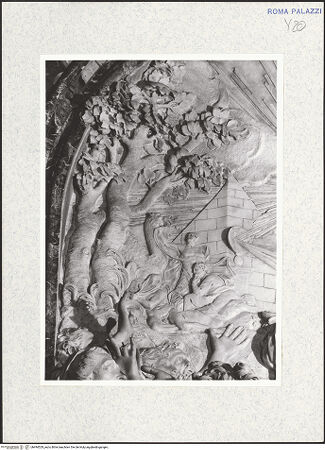 Vorderseite von bh494529_recto