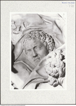 Vorderseite von bh494541_recto