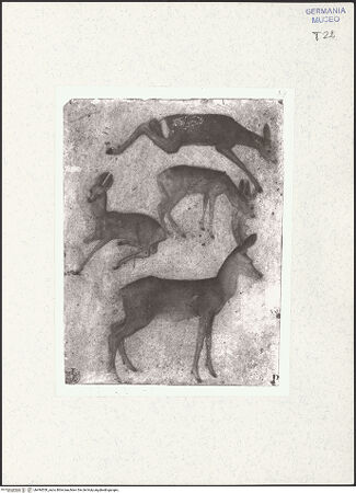 Vorderseite von Kupferstichkabinett Berlin SMB-PK [https://www.deutsche-digitale-bibliothek.de/content/lizenzen/rv-ez/] Studien zu einem Hirsch und drei Rehen - , bh494550_recto. Foto: Anders, Jörg P..