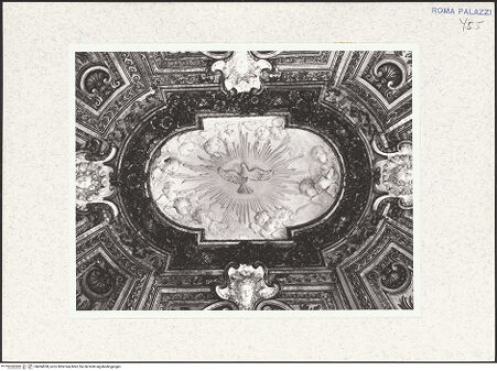 Vorderseite von bh494558_recto