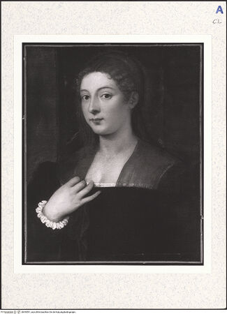 Vorderseite von bh494591_recto