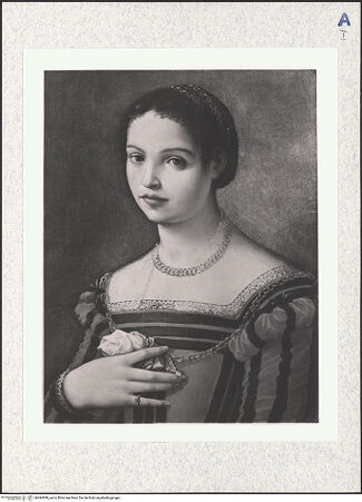 Vorderseite von bh494599_recto