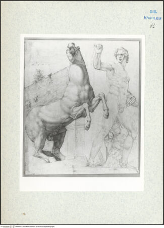 Vorderseite von Teylers Museum [http://creativecommons.org/publicdomain/mark/1.0/] Einer der Dioskuren auf dem Quirinal in Rom - , bh494701_recto. Foto.