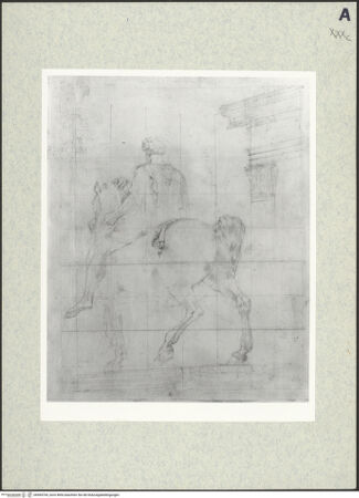 Vorderseite von bh494704_recto