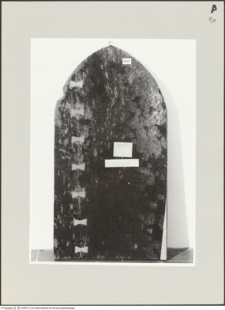 Vorderseite von bh494715_recto