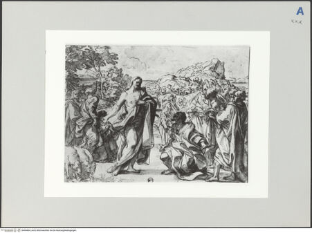 Vorderseite von bh494804_recto