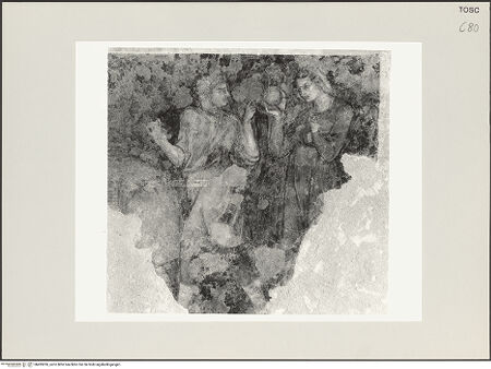 Vorderseite von bh495026_recto