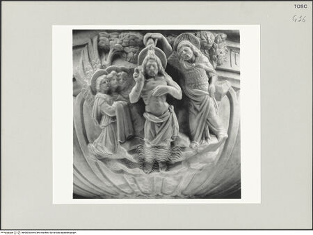 Vorderseite von bh495050_recto