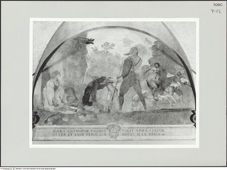 Vorderseite von bh495051_recto