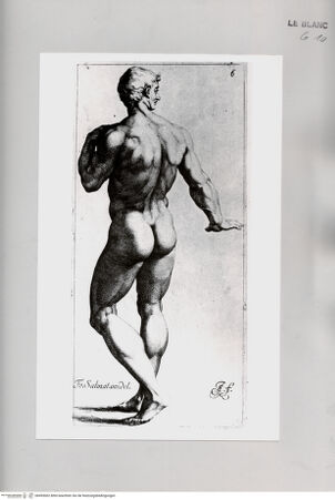 Vorderseite von Istituto Nazionale per la Grafica [http://creativecommons.org/publicdomain/mark/1.0/] Männlicher Rückenakt - , bh495062. Foto.