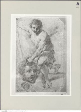 Vorderseite von bh495083_recto