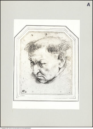 Vorderseite von bh495105_recto