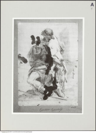 Vorderseite von bh495117_recto