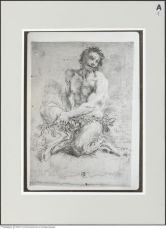 Vorderseite von bh495123_recto