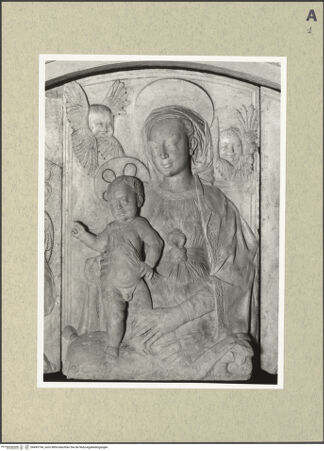 Vorderseite von bh495194_recto