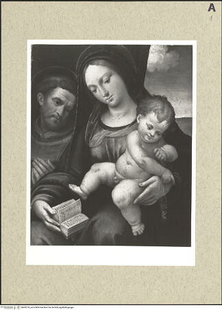 Vorderseite von bh495219_recto