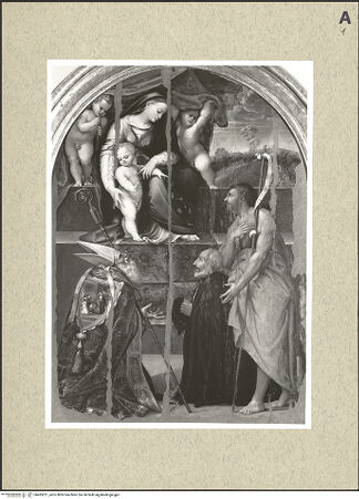 Vorderseite von bh495221_recto