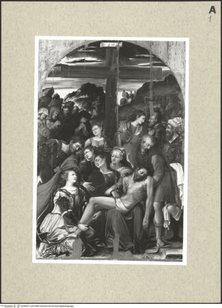 Vorderseite von bh495227_recto