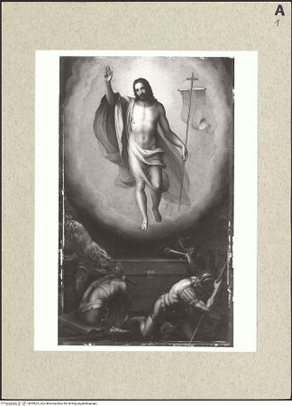 Vorderseite von bh495234_recto