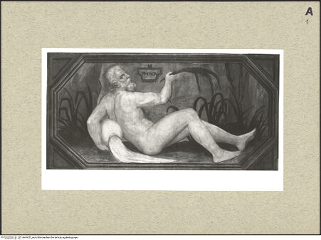 Vorderseite von bh495251_recto